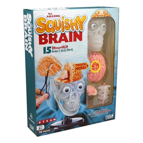 The Amazing  Squishy Brain