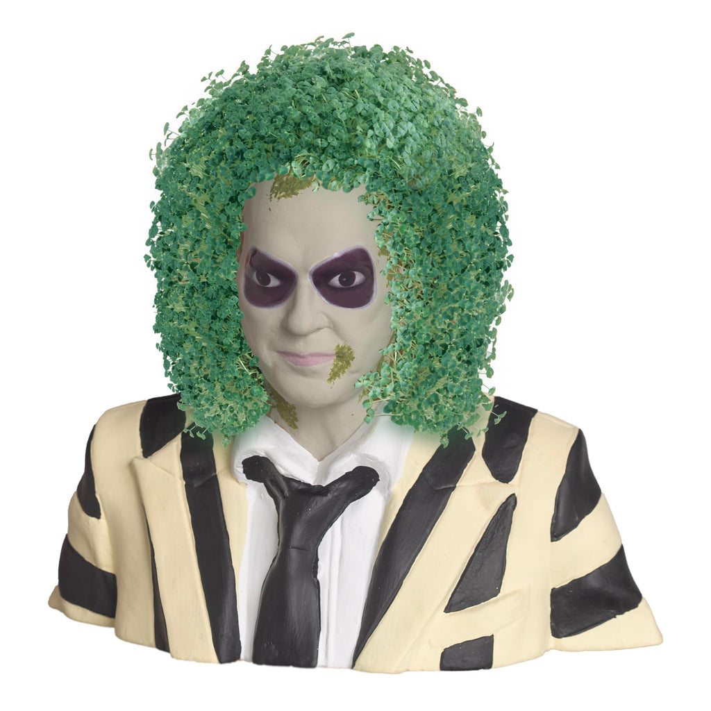 CHIA PET BEETLEJUICE