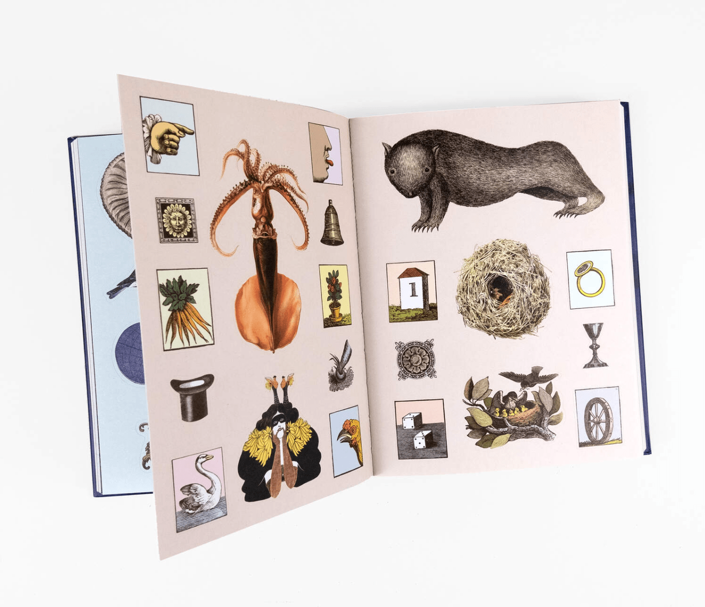 Antiquarian Sticker Book - Sweet Thrills