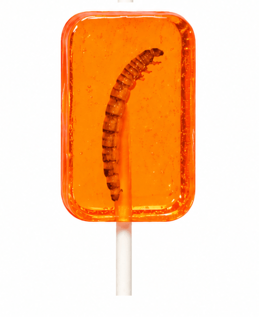 HOTLIX WORM SUCKER ORANGE - Sweet Thrills
