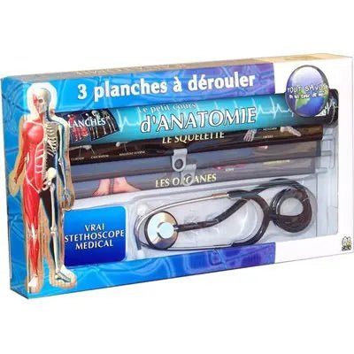 PETIT COURS D'ANATOMIE - Sweet Thrills