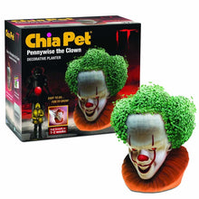 PENNYWISE CHIA