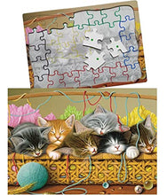 KITTENS IN A BASKET PUZZLE