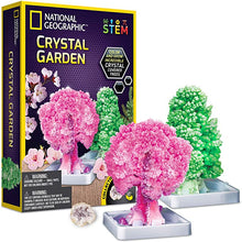Crystal Gardens Kit