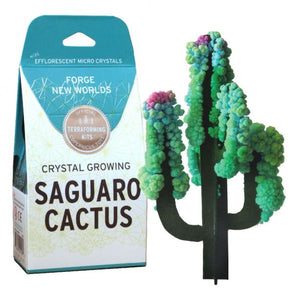 Crystal Growing - Saguaro Cactus