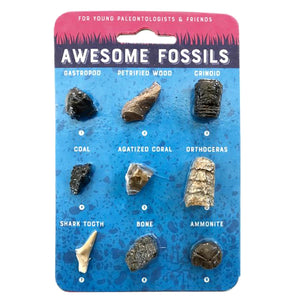 Awesome Fossils Sweet Thrills Toronto