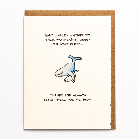 Baby Whales Whisper To Their Mothers In Order To Stay Close - Sweet Thrills