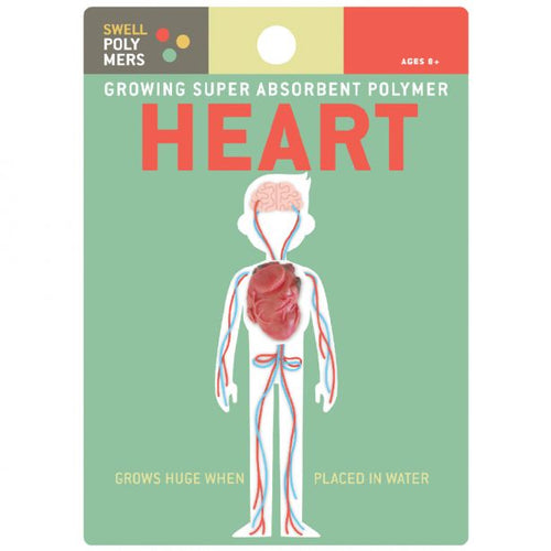 Growing Polymer Heart Toy Sweet Thrills Toronto