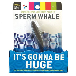 Growing Sperm Whale Toy Sweet Thrills Toronto