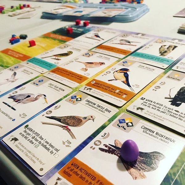 Wingspan: European Expansion - Sweet Thrills